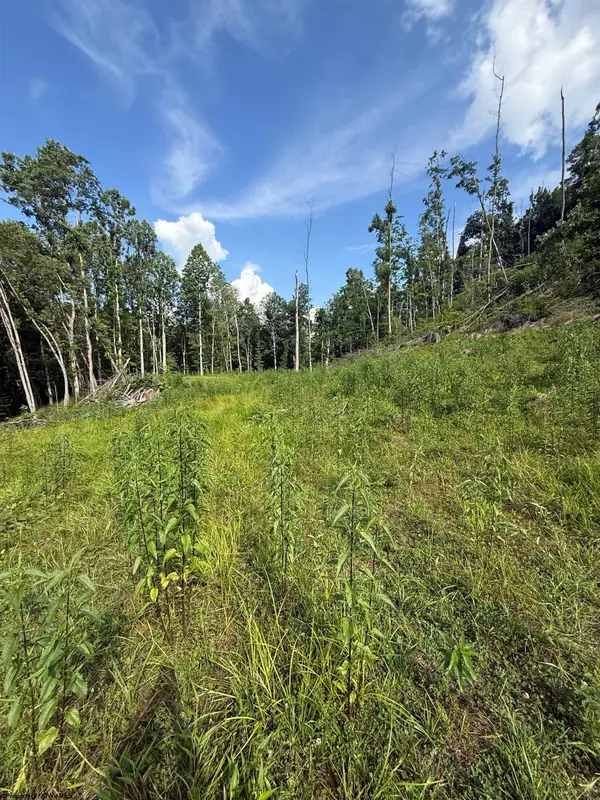 TBD Knights Fork Road, West Union, WV 26456