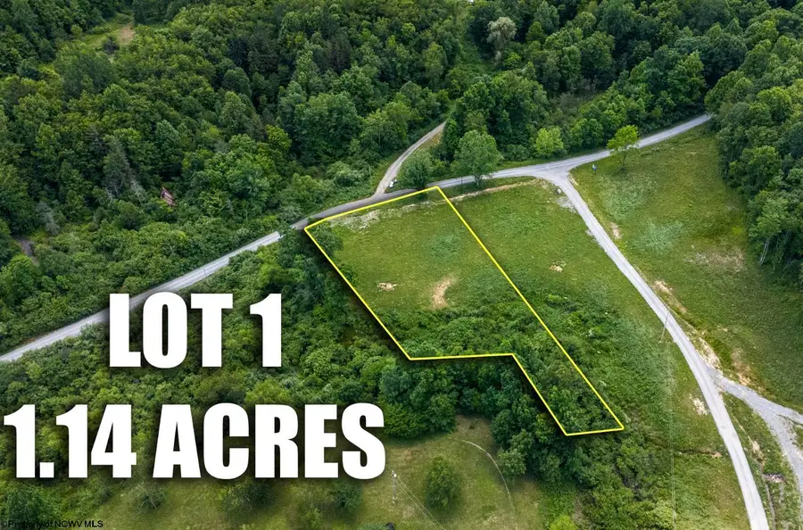 Lot 1 Lake Island Drive, Belington, WV 26250 - #2
