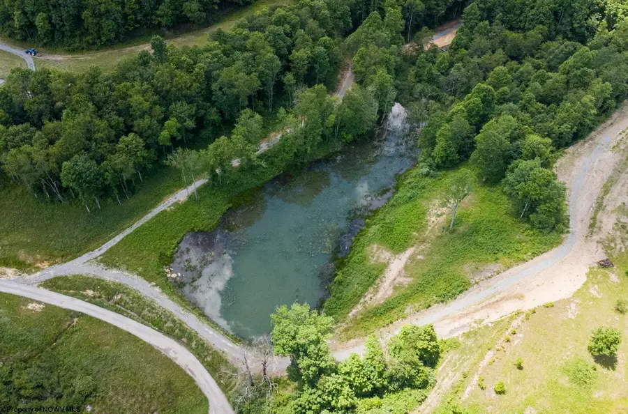 Lot 1 Lake Island Drive, Belington, WV 26250 - #3