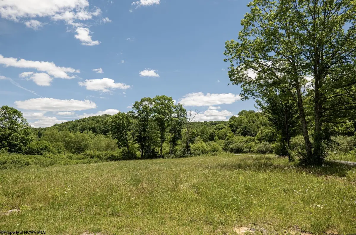 Lot 2 Lake Island Drive, Belington, WV 26250 - #1