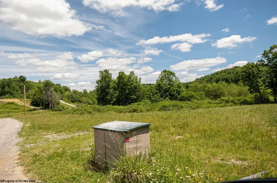 Lot 2 Lake Island Drive, Belington, WV 26250 - #3
