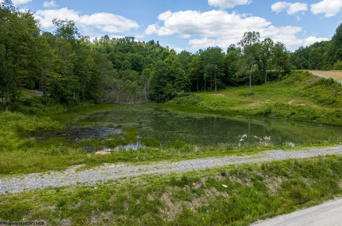 Lot 9 Lake Island Drive, Belington, WV 26250 - #1