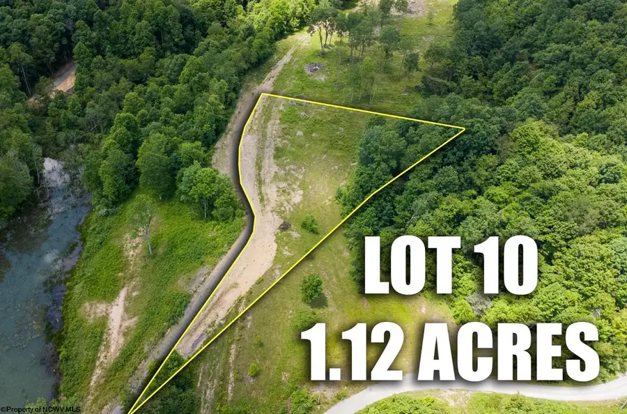Lot 10 Lake Island Drive, Belington, WV 26250 - #2