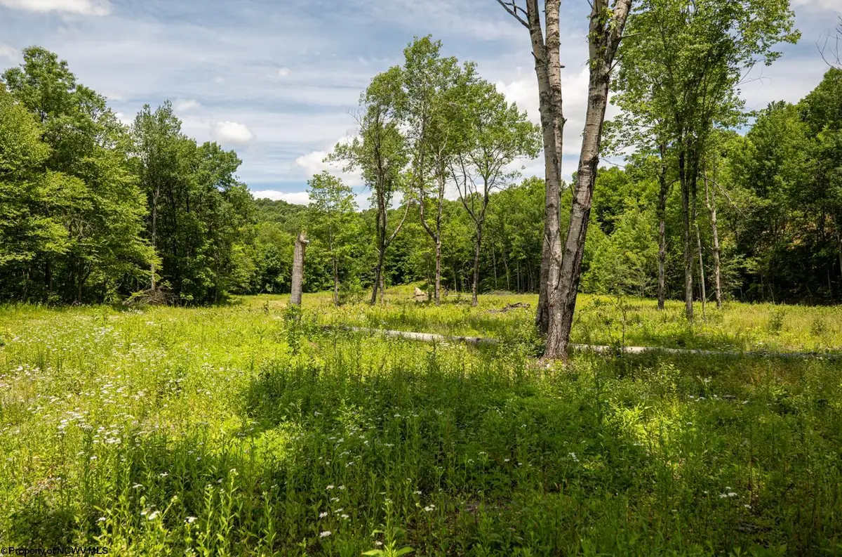 Lot 11 Lake Island Drive, Belington, WV 26250 - #1