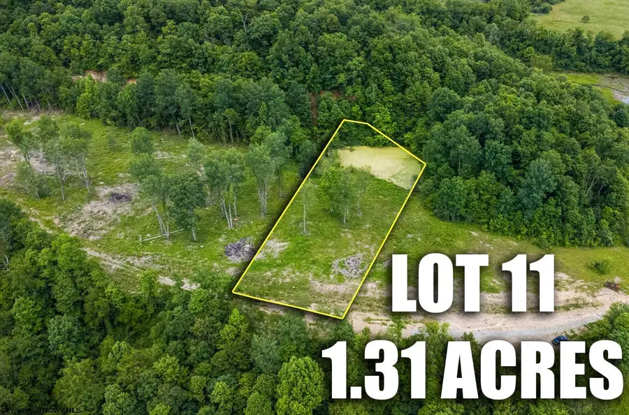 Lot 11 Lake Island Drive, Belington, WV 26250 - #3