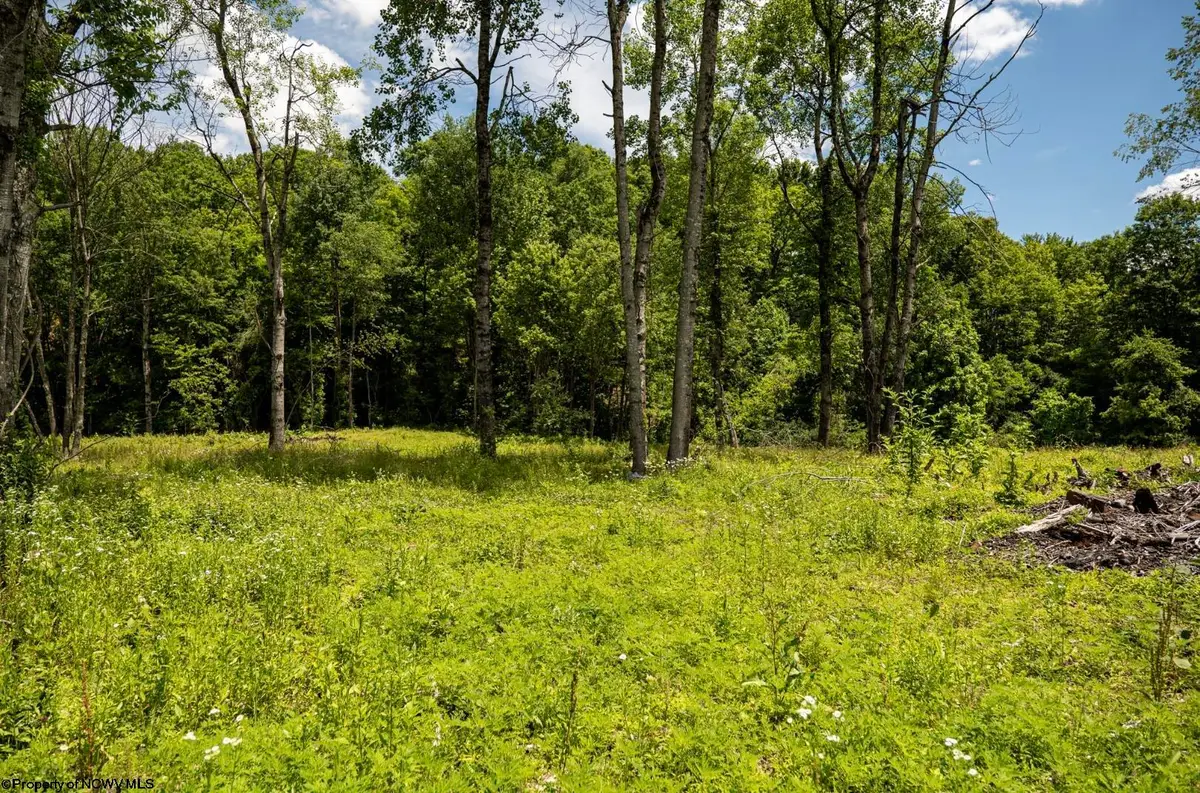 Lot 12 Lake Island Drive, Belington, WV 26250 - #1