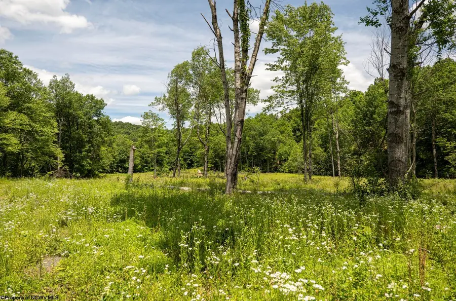 Lot 12 Lake Island Drive, Belington, WV 26250 - #2
