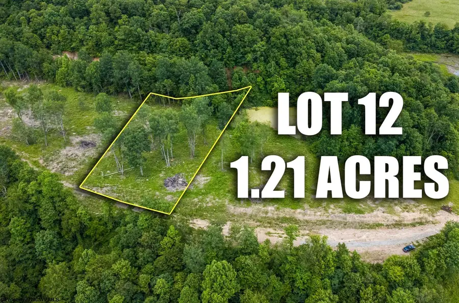 Lot 12 Lake Island Drive, Belington, WV 26250 - #3