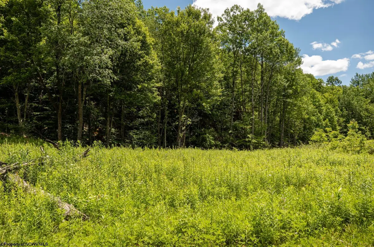 Lot 13 Lake Island Drive, Belington, WV 26250 - #1