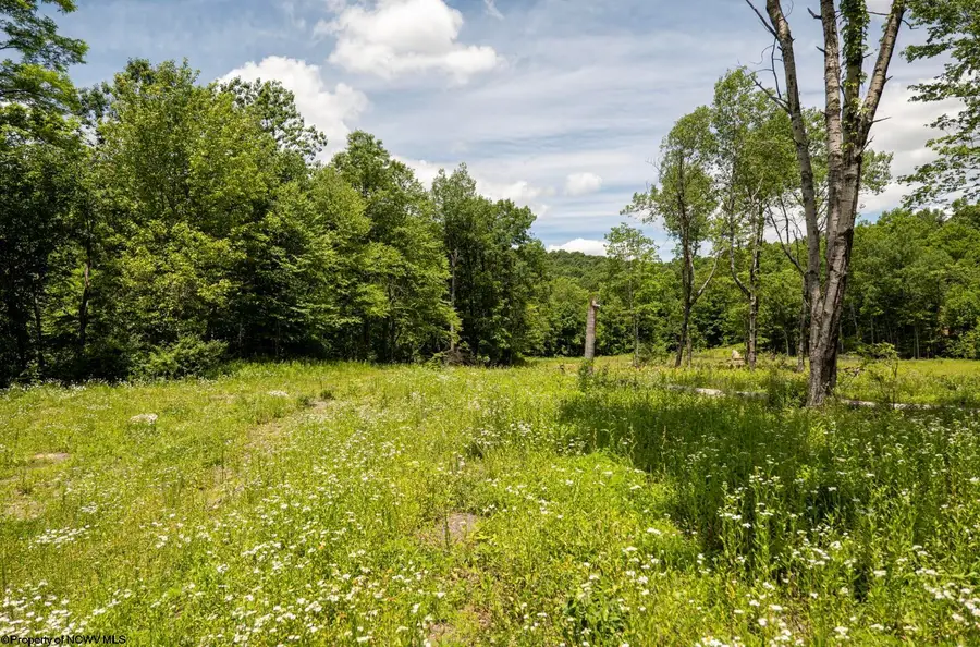 Lot 13 Lake Island Drive, Belington, WV 26250 - #3