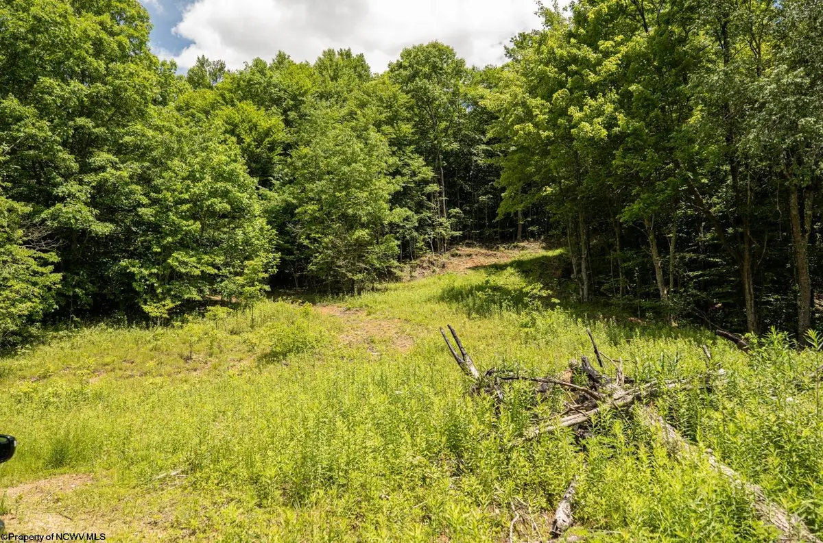 Lot 14 Lake Island Drive, Belington, WV 26250 - #1