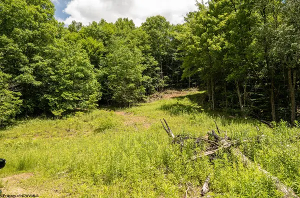 Lot 14 Lake Island Drive, Belington, WV 26250