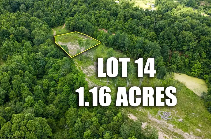 Lot 14 Lake Island Drive, Belington, WV 26250 - #3