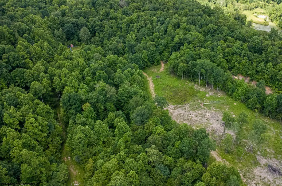 Lot 15 Lake Island Drive, Belington, WV 26250 - #1