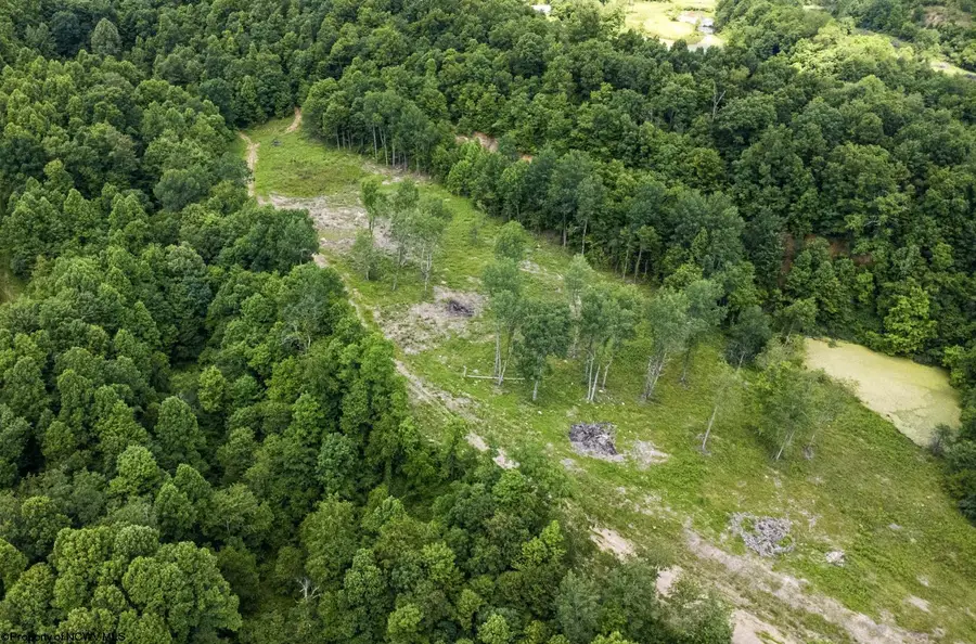 Lot 15 Lake Island Drive, Belington, WV 26250 - #2