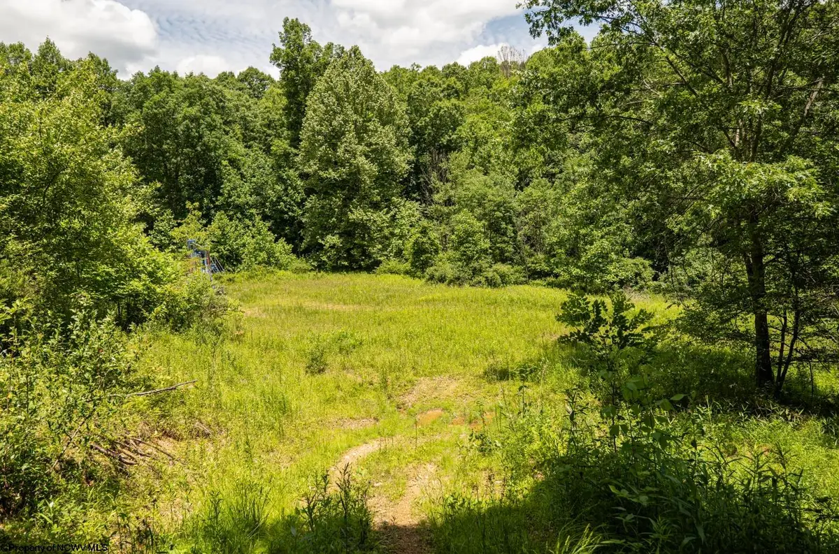 Lot 16 Lake Island Drive, Belington, WV 26250 - #1