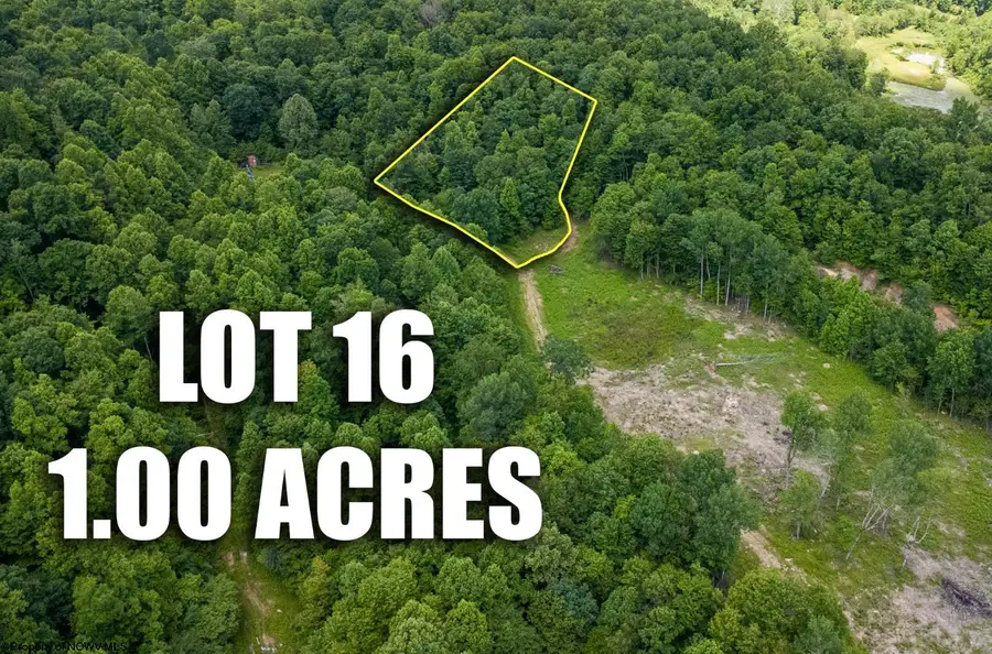 Lot 16 Lake Island Drive, Belington, WV 26250 - #2