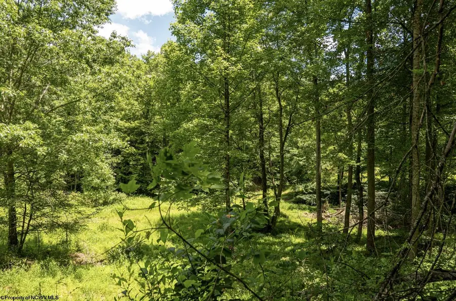 Lot 16 Lake Island Drive, Belington, WV 26250 - #3