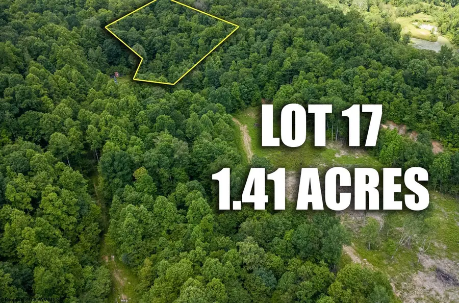Lot 17 Lake Island Drive, Belington, WV 26250 - #2