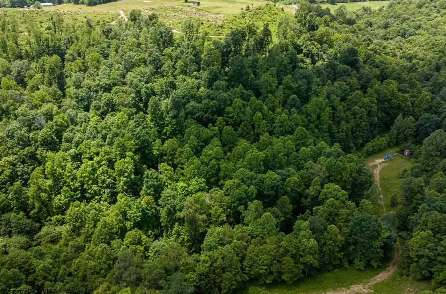 Lot 18 Lake Island Drive, Belington, WV 26250 - #2