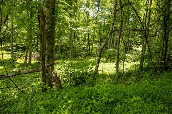 Lot 19 Lake Island Drive, Belington, WV 26250