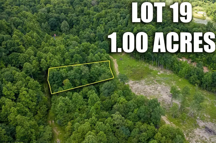 Lot 19 Lake Island Drive, Belington, WV 26250 - #2