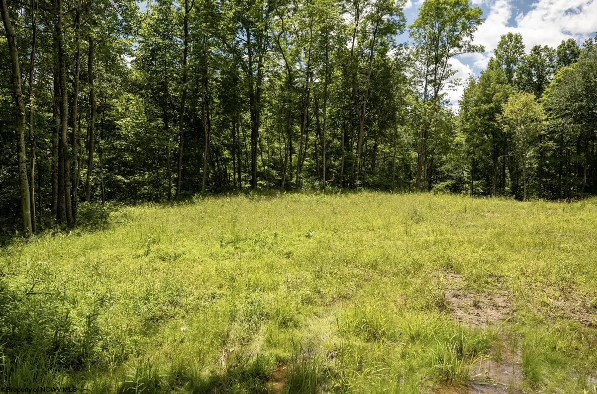 Lot 20 Lake Island Drive, Belington, WV 26250 - #1