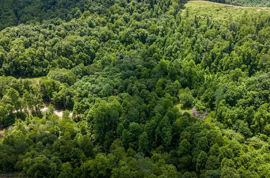 Lot 20 Lake Island Drive, Belington, WV 26250 - #2