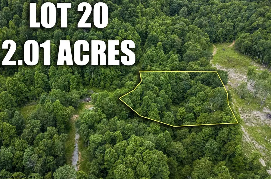 Lot 20 Lake Island Drive, Belington, WV 26250 - #3