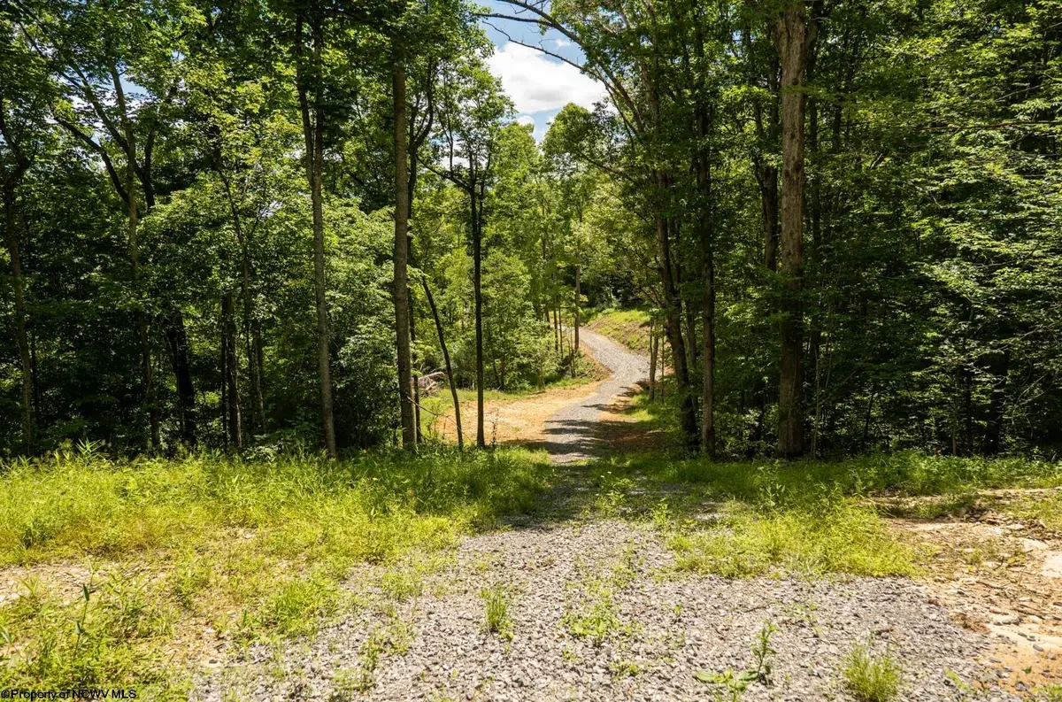 Lot 21 Lake Island Drive, Belington, WV 26250 - #1