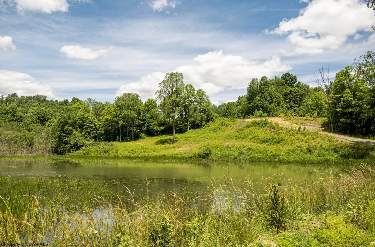 Lot 22 Lake Island Drive, Belington, WV 26250 - #1