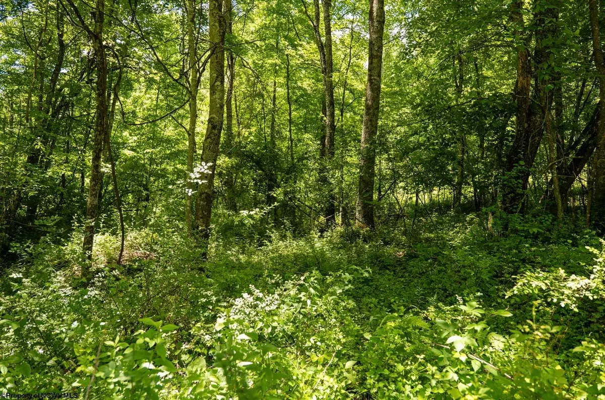 Lot 23 Lake Island Drive, Belington, WV 26250 - #1