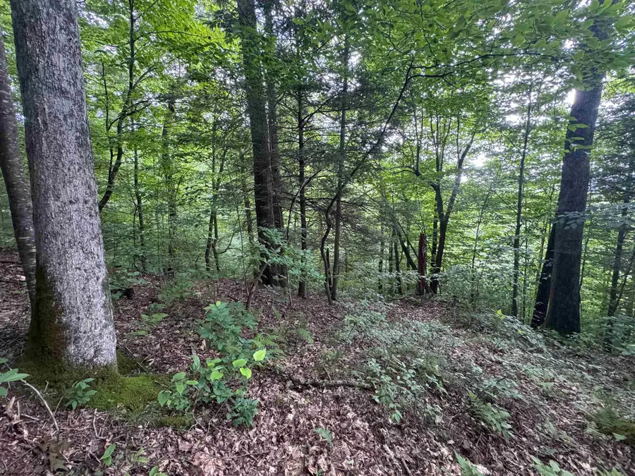 0 Laurel Run Road, Montrose, WV 26283 - #2