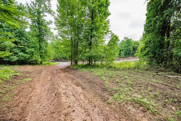 Lot 1 Burnt Cabin Road, Fairmont, WV 26554