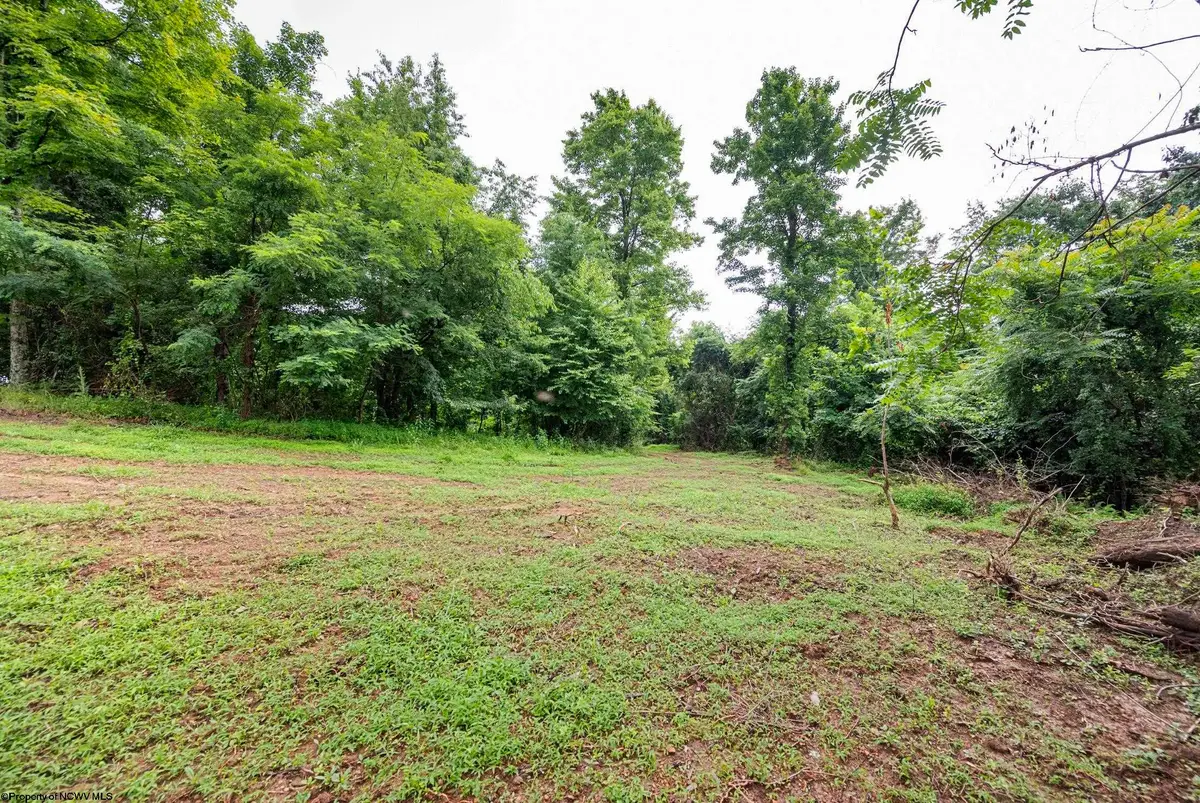 Lot 3 Burnt Cabin Road, Fairmont, WV 26554 - #1
