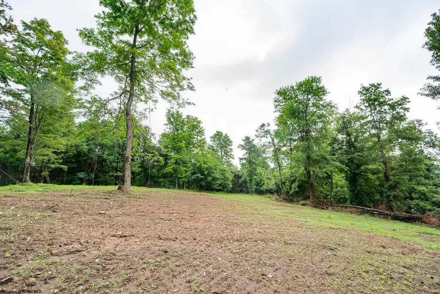 Lot 3 Burnt Cabin Road, Fairmont, WV 26554 - #2