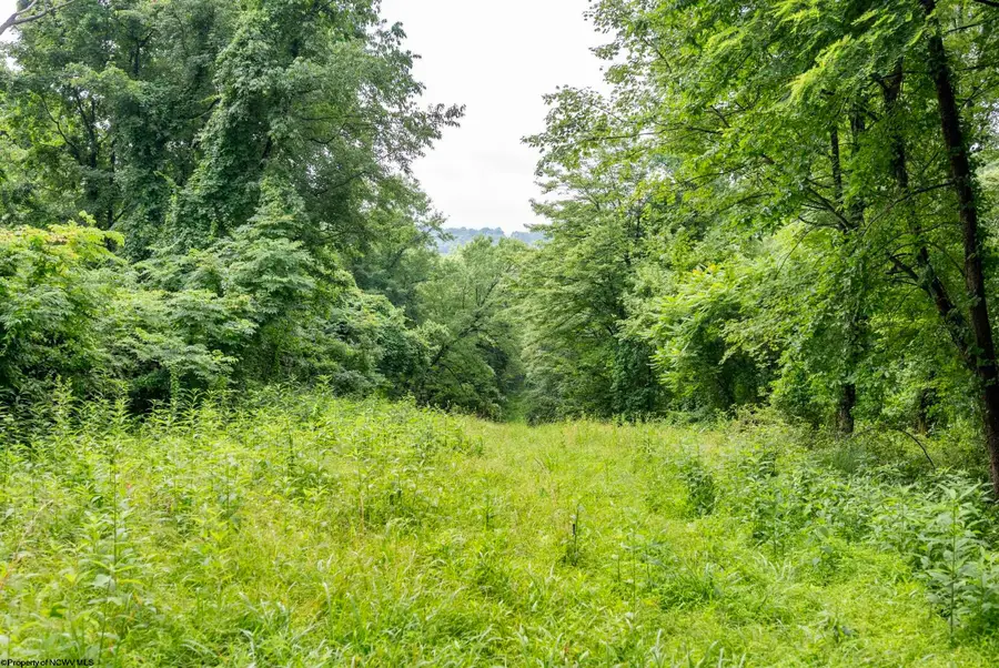 Lot 3 Burnt Cabin Road, Fairmont, WV 26554 - #3