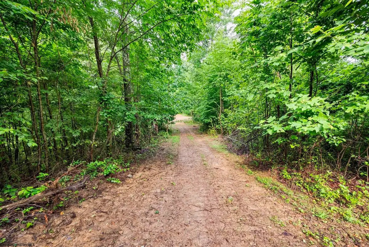 Lot 5 Burnt Cabin Road, Fairmont, WV 26554 - #1