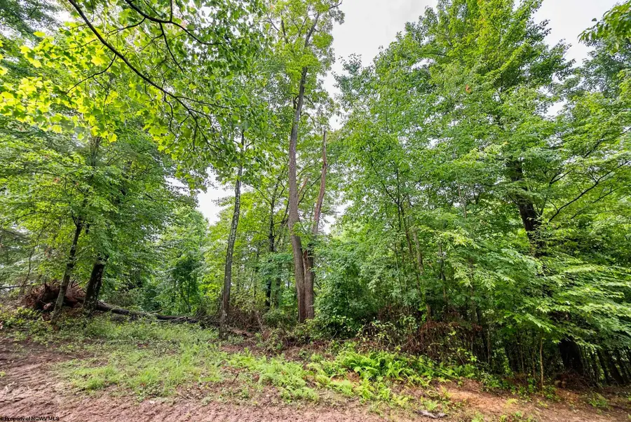 Lot 5 Burnt Cabin Road, Fairmont, WV 26554 - #2