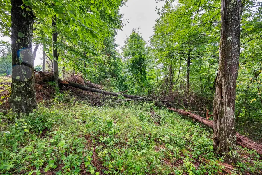 Lot 5 Burnt Cabin Road, Fairmont, WV 26554 - #3