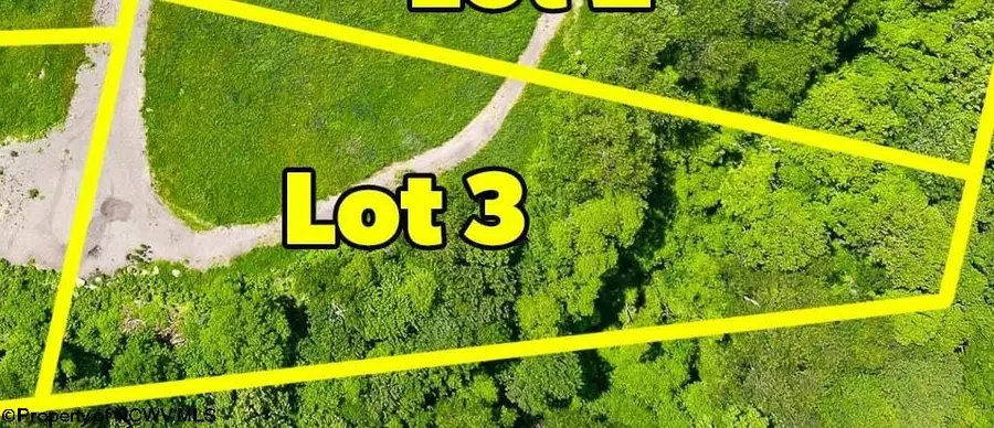 Lot 3 Laurel Run Pisgah Road, Bruceton Mills, WV 26525 - #2