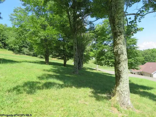 Tbd Doe Lane, Buckhannon, WV 26201