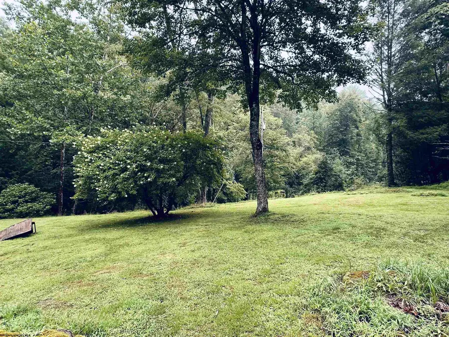 856 REMOVAL Road, Diana, WV 26217 - #3