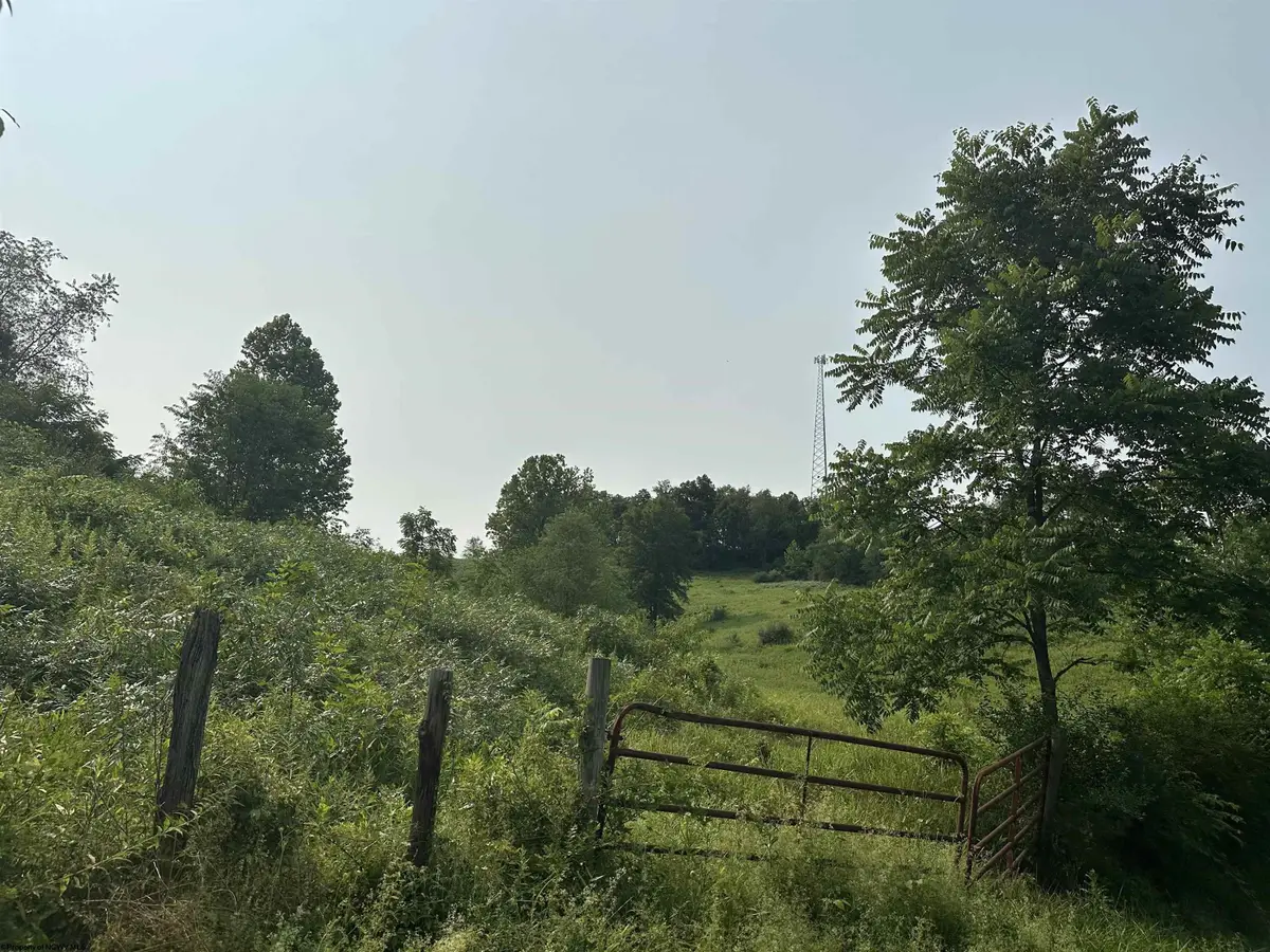 TBD SLAB CAMP Road, French Creek, WV 26218 - #1
