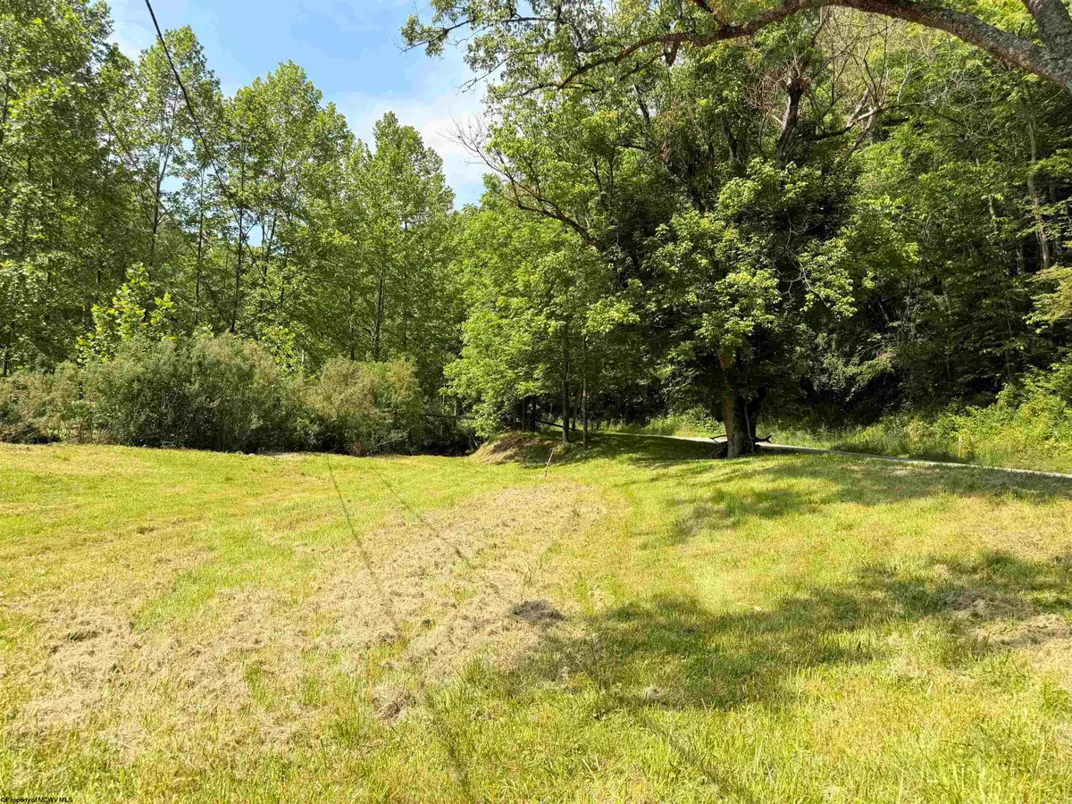 8557 Copley Road, Weston, WV 26452 - #1