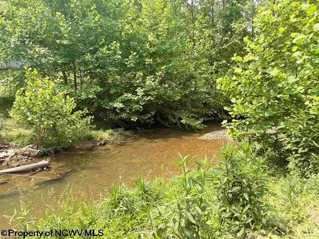 8557 Copley Road, Weston, WV 26452 - #3