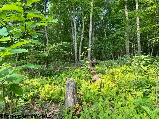 TBD Wildwood Lake, Morgantown, WV 26508 - #3