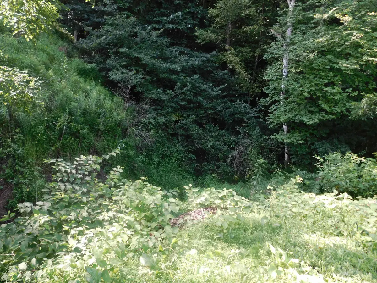TBD Independence Road, Newburg, WV 26410 - #1