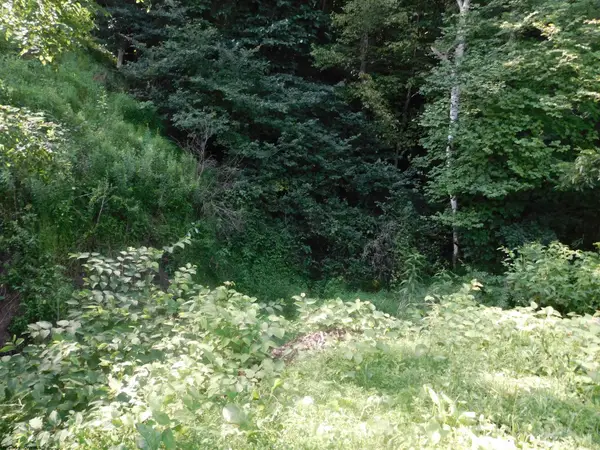 TBD Independence Road, Newburg, WV 26410
