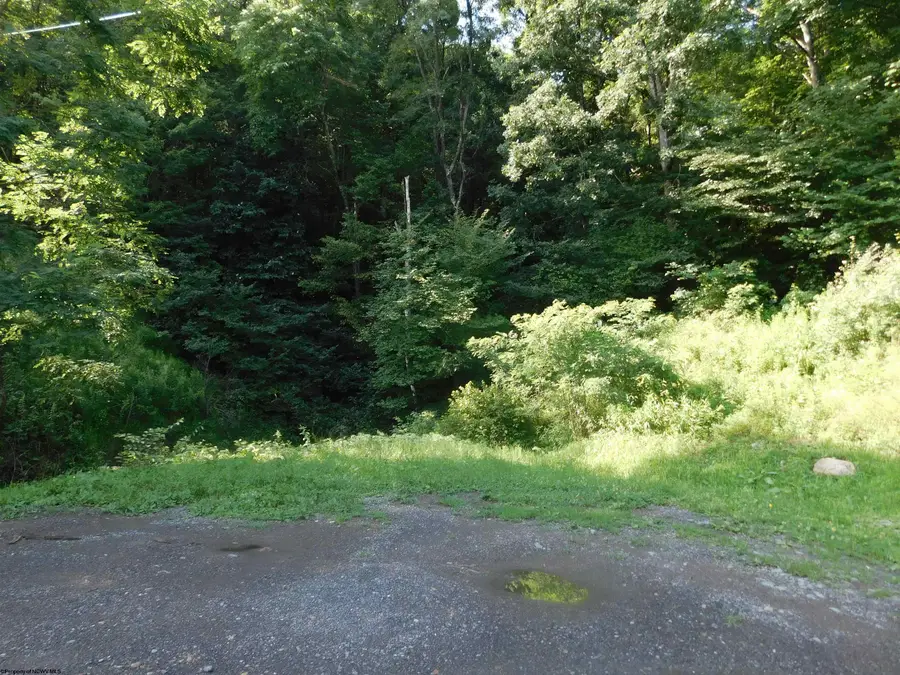 TBD Independence Road, Newburg, WV 26410 - #2
